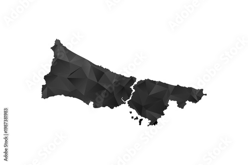 Istanbul Map - Polygon Style Vector Illustration in Black and Gray Gradient, Low Poly Geometric Design, Isolated on White Background for Infographics and Education.