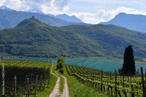 Schöne Landschaft am Kalterer See in Südtirol 