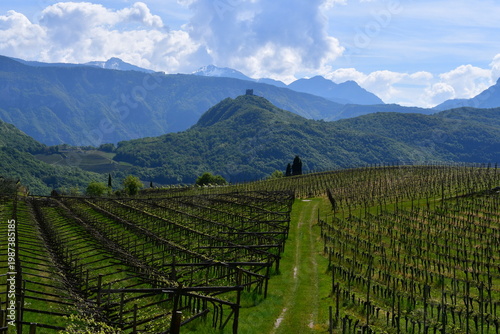 Schöne Landschaft am Kalterer See in Südtirol 