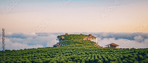 Terraced Hillside Green Crops Buildings Cloud Sea