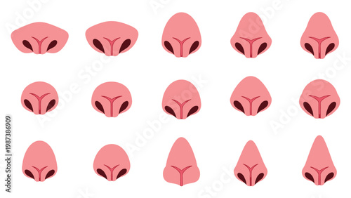 Pink animal nose snout set for cartoon character creation pet face facial parts vector illustration