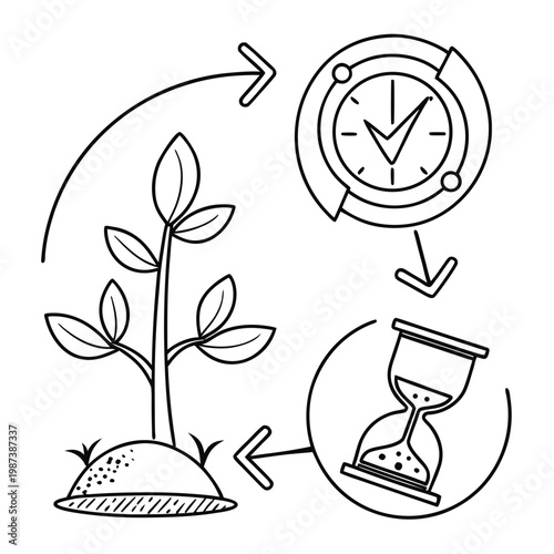 A linear illustration depicts the progression of time and growth showing a seedling transforming into a blossoming plant over time high quality