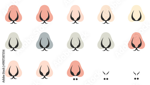 Animal nose color variations triangular snout vector illustration for characters