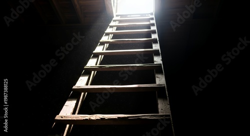 a ladder leading from darkness to light