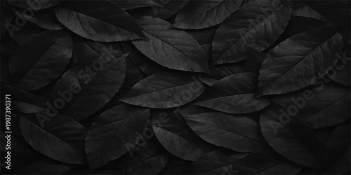 Abstract Dark, textured, and moody: a close-up of monochromatic, black leaves that command attention. for website, background, branding