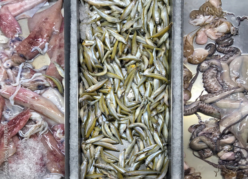 Trays with fish and octopi at the fish market