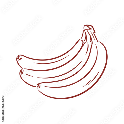 A simple hand drawn sketch depicts a bunch of ripe bananas in reddish brown