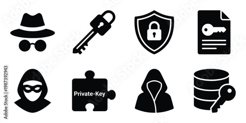 Collection of hacker and private key security icons including key, shield, and incognito