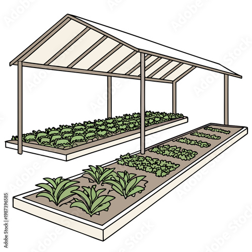 An illustration depicts a simple greenhouse structure with raised garden beds cultivating various leafy green plants indoors high quality professional detailed modern