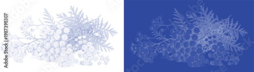 Fern foliage cyanotype vector for skincare brand logo and organic wallpaper design