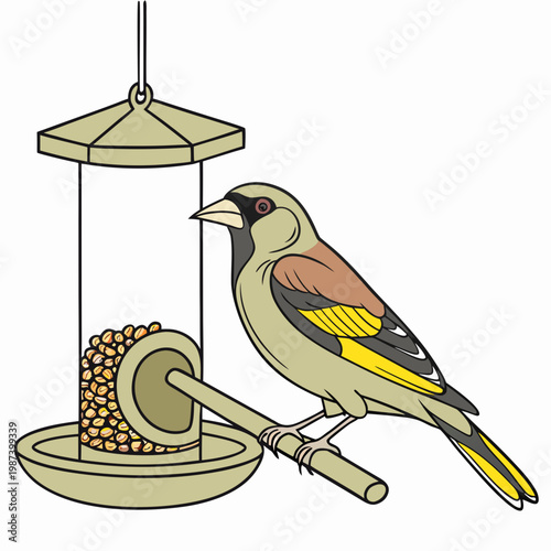 A colorful illustration depicts a small songbird perched near a hanging bird feeder filled with seeds awaiting a meal high quality professional
