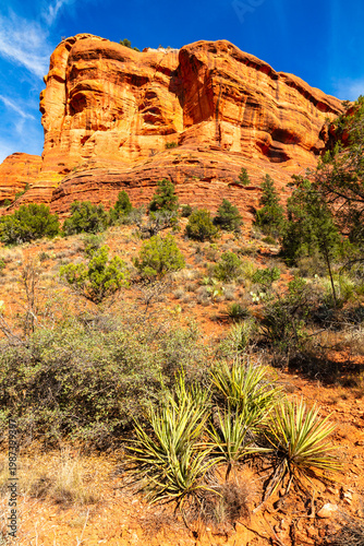 Sedona Arizona Landscape