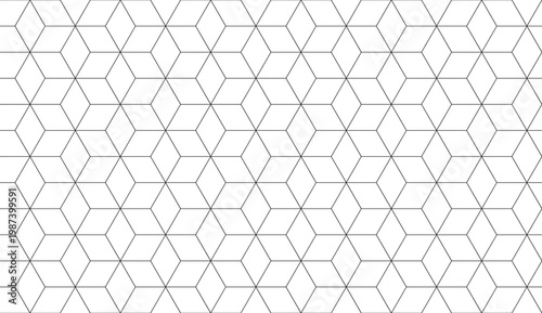 Cuadro en lienzo Thin line hexagon geometric pattern minimal white background