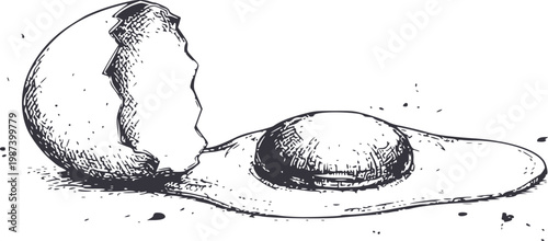 Cracked egg with yolk and shell fragments white background, hand-drawn style