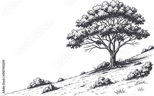 Detailed of a large tree a grassy hillside with bushes, isolated nature cutout white