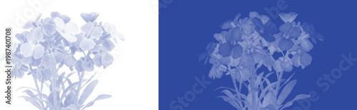 Floral bouquet cyanotype vector for event planner branding and luxury gift wrap paper