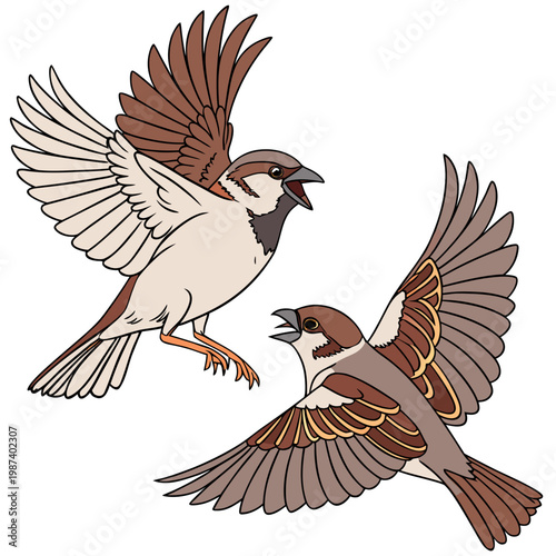 Two brown house sparrows are depicted in mid flight wings spread dynamically showcasing their natural avian anatomy and behavior high quality professional