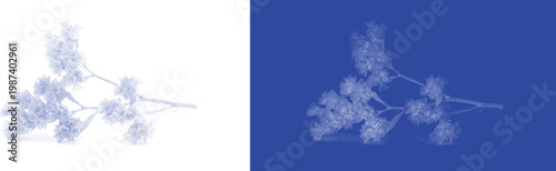 Floral sprig cyanotype vector for envelope seal design and minimal boutique packaging