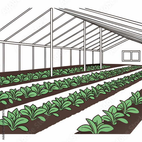 Greenhouse with plants rows soil agriculture