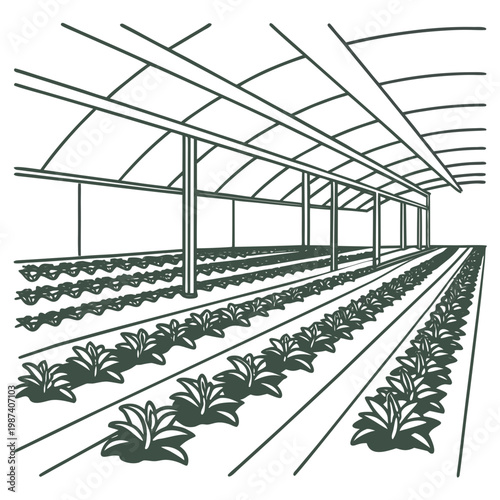 Large greenhouse with plant beds gardening indoor gardening