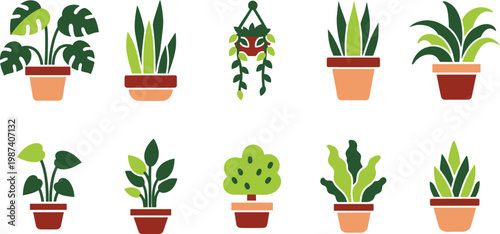 Variety of potted houseplants collection isolated on transparent background decorative indoor greenery