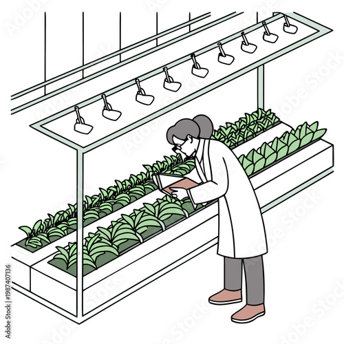 Person inspecting plants in indoor garden