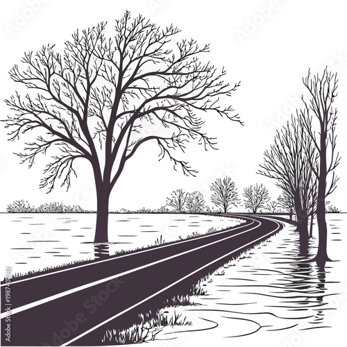 Flooded road with trees water nature