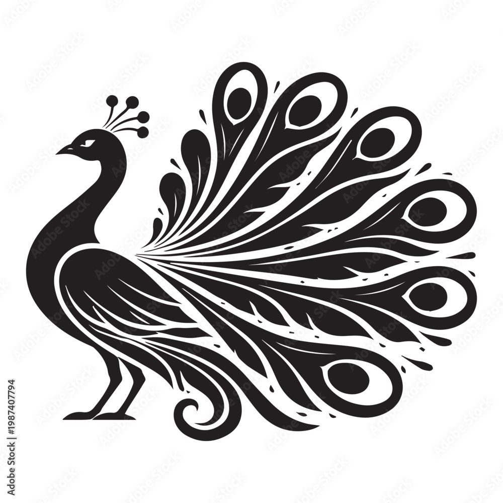 Fototapeta premium Majestic Peacock Vector Illustration Isolated on White Background - Elegant Black and White Bird Line Art