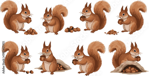 Cute Red Squirrel Character Collection with Acorns and Nuts in Various Playful Poses Adorable Autumn Wildlife Animal Illustration Set for Nature DesignCute Red Squirrel Character Collection with 
