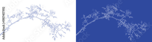 Cyanotype style botanical branch vector, vintage blue sun print foliage illustration, delicate leaf sprig silhouette for wedding invitations and decor