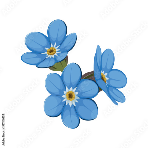 Forget me not flower on a white background. Vector.