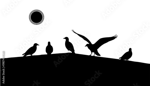 A group of birds standing on a hill