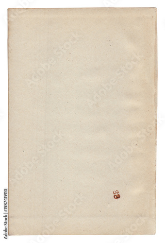 Vintage background of old ancient torn paper texture isolated
