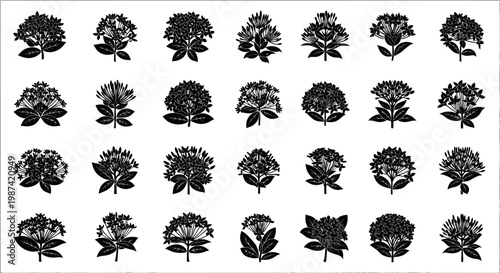 Collection of various black flower silhouettes on white background for design and decoration