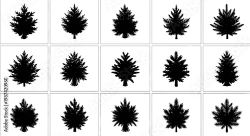 Collection of black silhouette tree icons on white background for design and decoration purposes