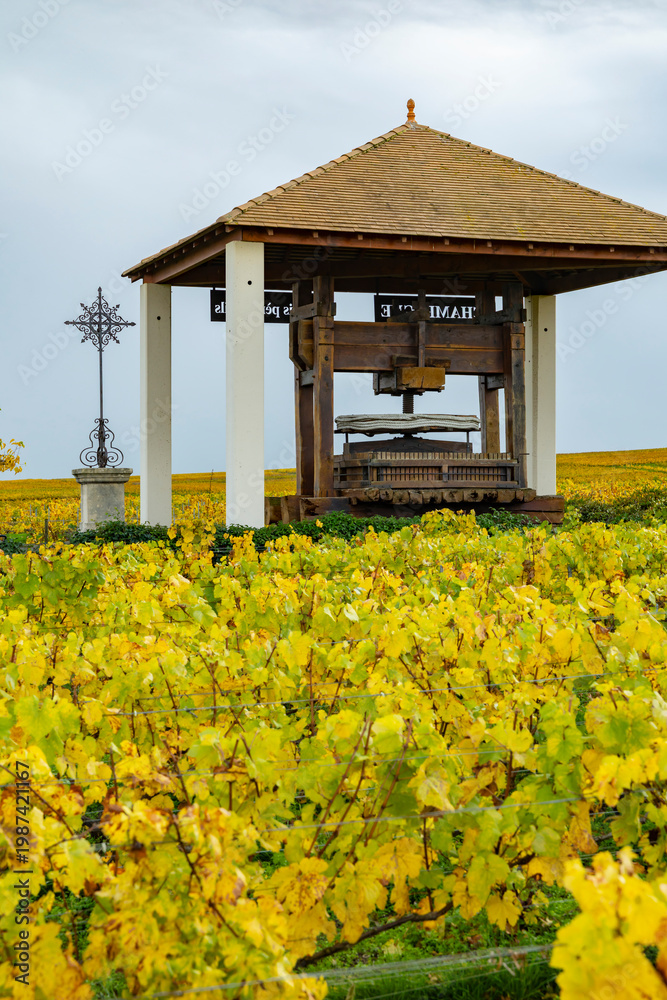 Fototapeta premium Traditional grape press in Champagne vineyard, Le Mesnil sur Oger