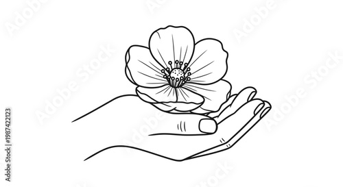 Delicate hand holding blooming flower vector illustration on white background