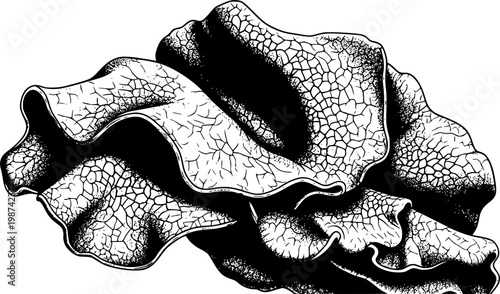 A hyper-detailed macro shot of "mushroom leather" (mycelium). Focus on the irregular, velvety texture and soft organic veins. Natural, low-contrast earthy lighting.