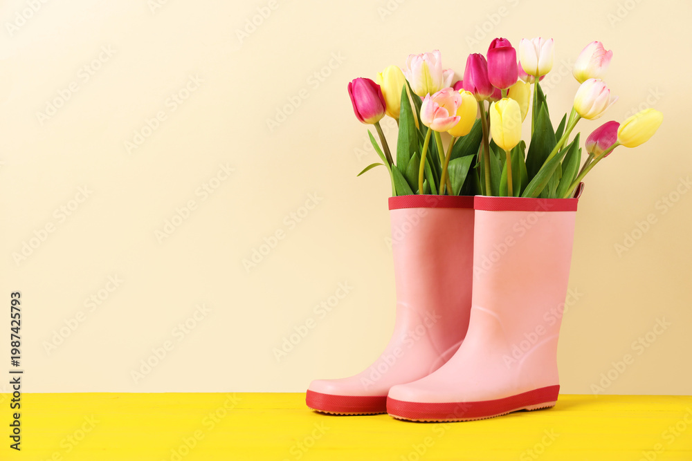 Fototapeta premium Beautiful tulip flowers in pink rubber boots on yellow wooden table against beige background. Space for text