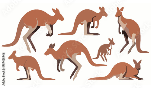 Modern red kangaroo vector set with dynamic poses male female and joey isolated wildlife illustration