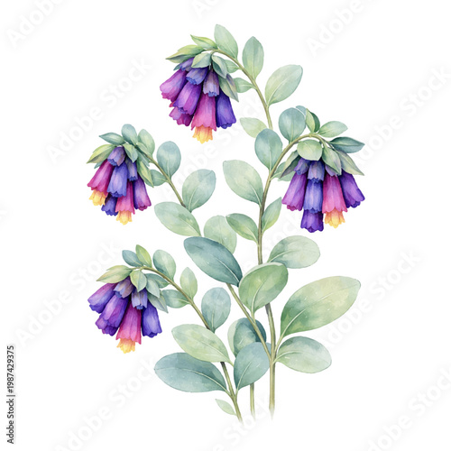 Elegant watercolor illustration of purple bell-shaped flowers with soft green leaves on clean white background. Delicate botanical design perfect for prints, branding, invitations, and floral composit