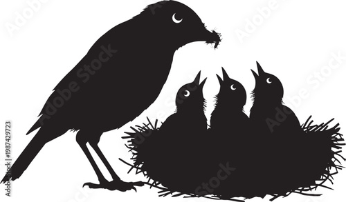 bird feeding baby birds in nest on white background