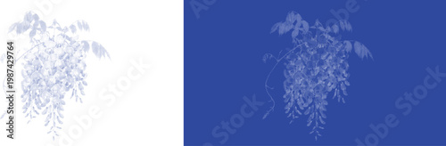 Hanging Wisteria Flowers in Cyanotype Blue for Elegant Vintage Botanical Wedding Design