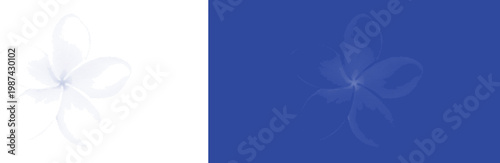 Orchid Flower in Cyanotype Blue Tone for Elegant Tropical Botanical Vector Illustration
