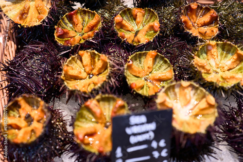 Sea urchins. Tray of prepared sea urchins in a market stall's display window.