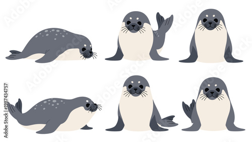 Collection of cute gray seal characters in various poses like lying down and looking around for marine life and animal conservation concepts.