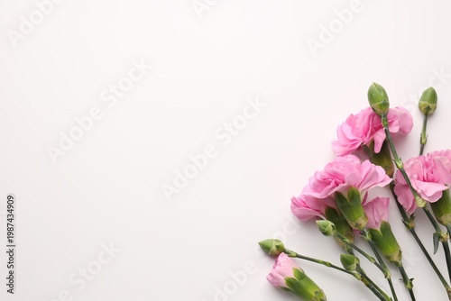 Beautiful carnation flowers on white background, flat lay. Space for text