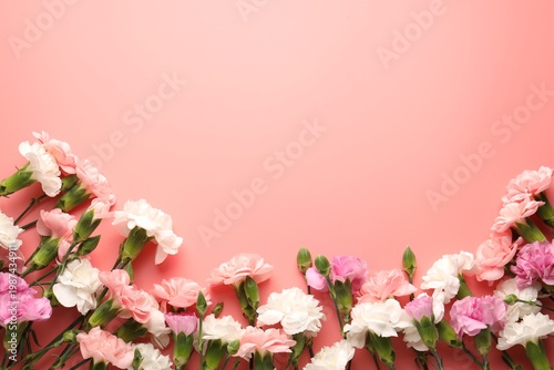Beautiful carnation flowers on pink background, flat lay. Space for text