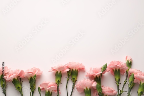 Beautiful carnation flowers on white background, flat lay. Space for text