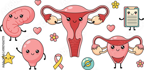 Cute Kawaii Female Reproductive System Characters Uterus Ovary Smiling Cartoon Sticker Set With Hearts Flowers Cancer Awareness Ribbon Funny Medical Anatomy Vector Illustration For Healthcare Design